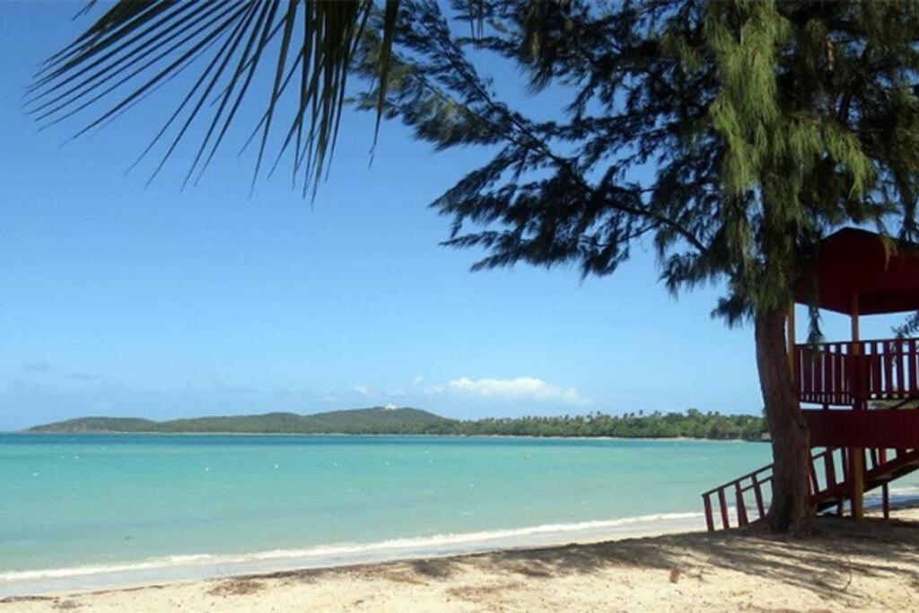 Sunset View Apartment In A Great Location Fajardo Buitenkant foto